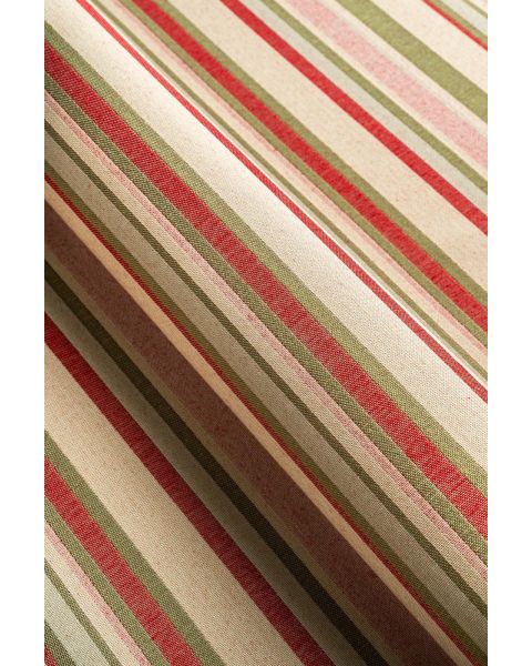 Agapanthus Red Stripe Fabric